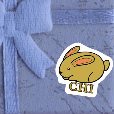 Autocollant Chi Lapin Gift package Image