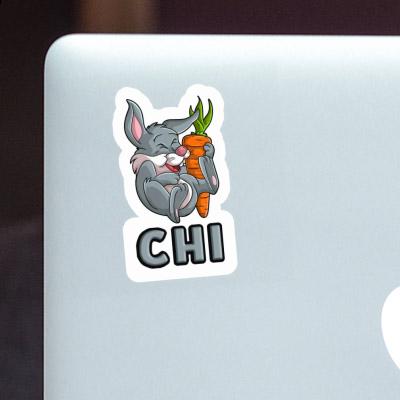 Rabbits Sticker Chi Gift package Image