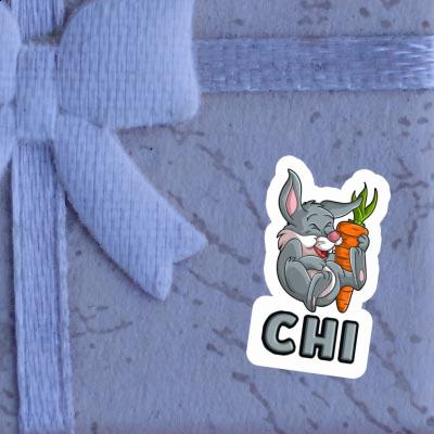 Autocollant Chi Lapin Image