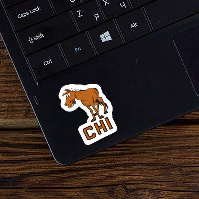 Cheval Autocollant Chi Laptop Image