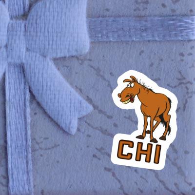 Cheval Autocollant Chi Notebook Image