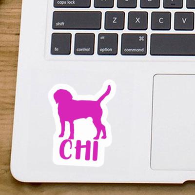 Autocollant Chi Chien Gift package Image