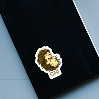 Sticker Chi Hedgehog Gift package Image