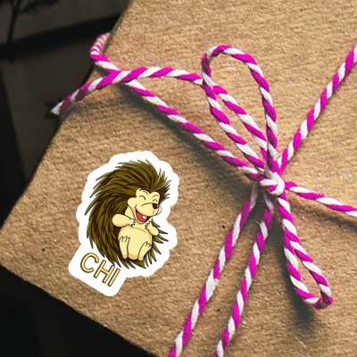 Sticker Chi Hedgehog Gift package Image