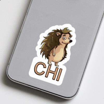 Sticker Chi Igel Gift package Image