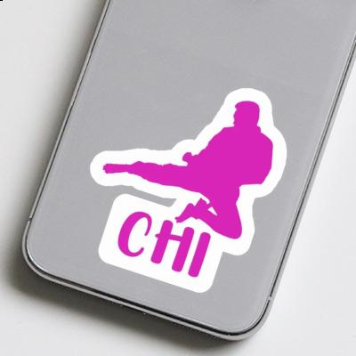 Chi Sticker Karateka Laptop Image