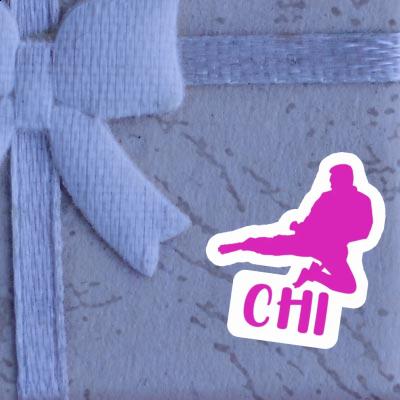 Chi Sticker Karateka Gift package Image