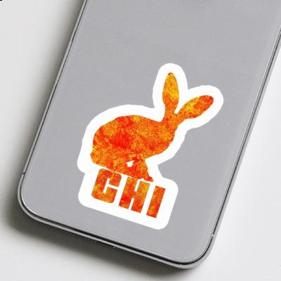 Rabbit Sticker Chi Gift package Image