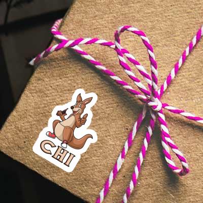 Sticker Kangaroo Chi Gift package Image