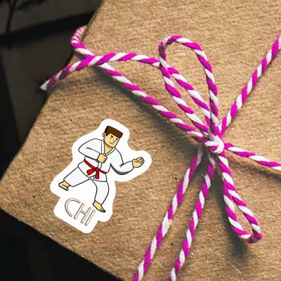 Sticker Chi Karateka Gift package Image