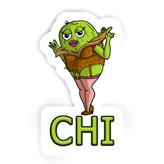 Sticker Kiwi Chi Laptop Image