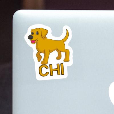 Sticker Chi Labrador Laptop Image