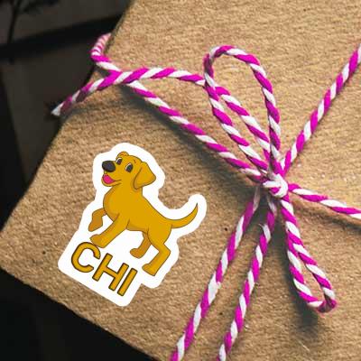 Labrador Autocollant Chi Gift package Image