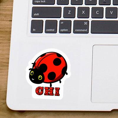 Ladybug Sticker Chi Gift package Image