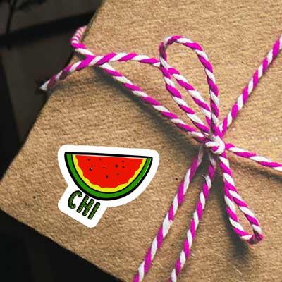 Chi Sticker Watermelon Notebook Image