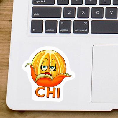 Sticker Orange Chi Image