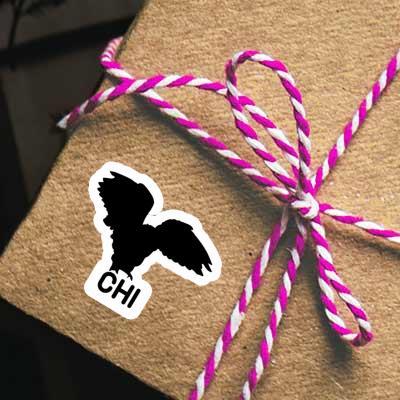 Autocollant Hibou Chi Gift package Image