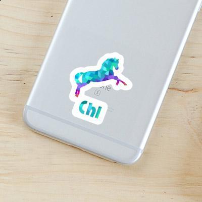 Autocollant Chi Cheval Gift package Image