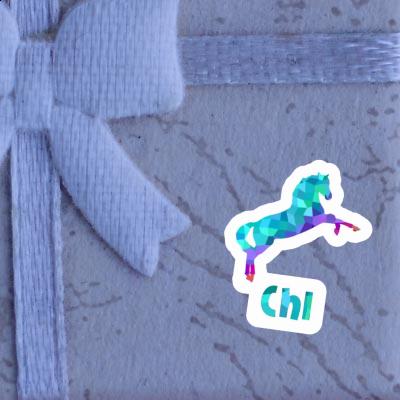 Horse Sticker Chi Gift package Image