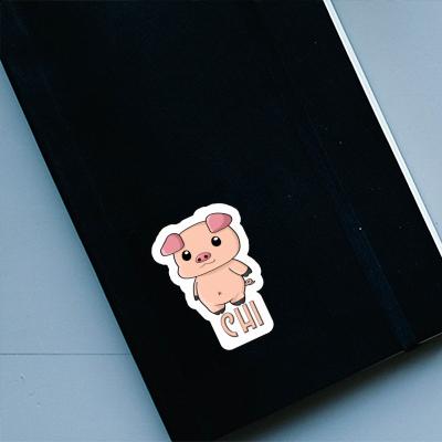 Sticker Piglet Chi Gift package Image