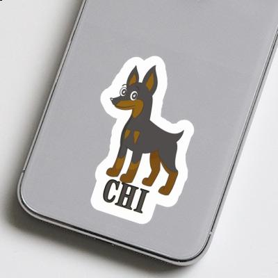 Sticker Pinscher Chi Gift package Image