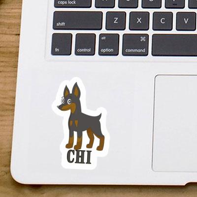 Sticker Pinscher Chi Gift package Image