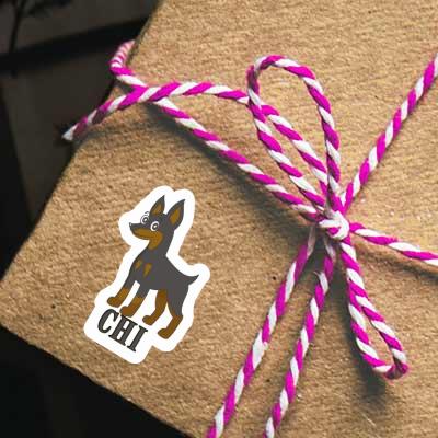 Sticker Pinscher Chi Notebook Image