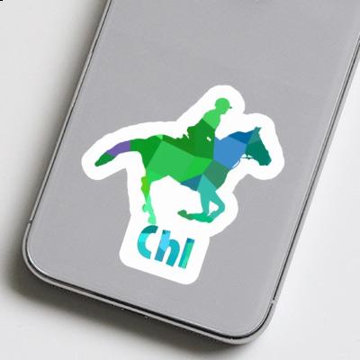 Chi Sticker Reiterin Gift package Image