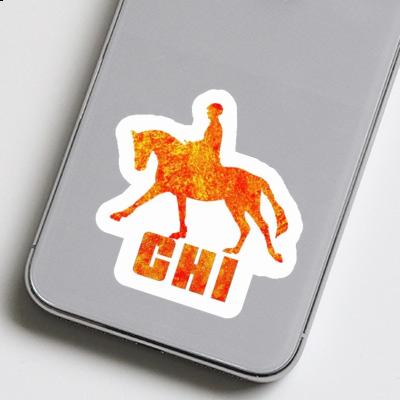 Sticker Reiterin Chi Laptop Image