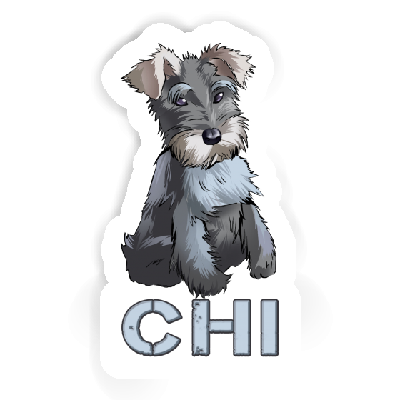 Autocollant Chi Schnauzer Gift package Image