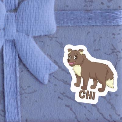 Chi Autocollant Chien de berger Gift package Image