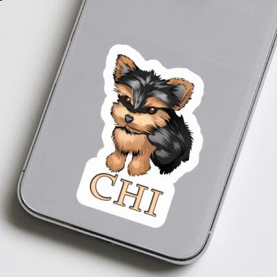 Aufkleber Yorkie Chi Gift package Image