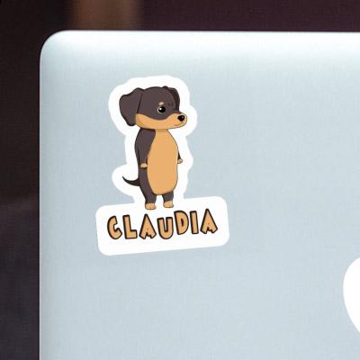 Sticker Claudia Dachshund Gift package Image