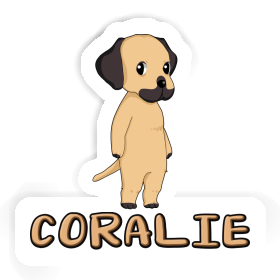 Coralie Sticker Rhodesian Ridgeback Image