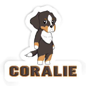 Bernese Mountain Dog Sticker Coralie Image