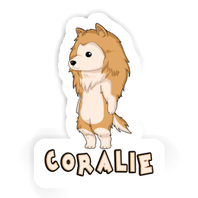 Collie Sticker Coralie Image