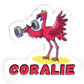 Coralie Sticker Weight Lifter Image