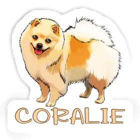 German Spitz Sticker Coralie Image