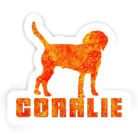 Coralie Sticker Hound Image