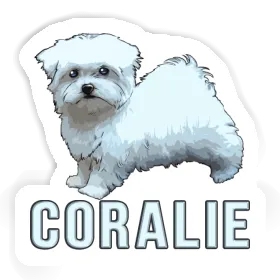 Sticker Coralie Maltese Image