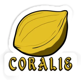 Sticker Nut Coralie Image