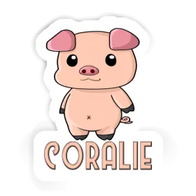 Sticker Pigg Coralie Image