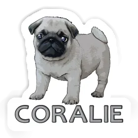 Sticker Coralie Pug Image