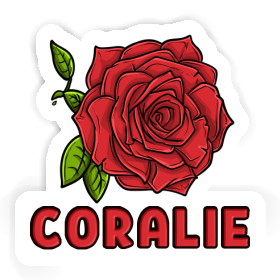 Coralie Sticker Rose blossom Image