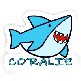 Coralie Sticker Shark Image