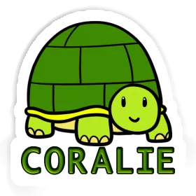 Sticker Turtle Coralie Image