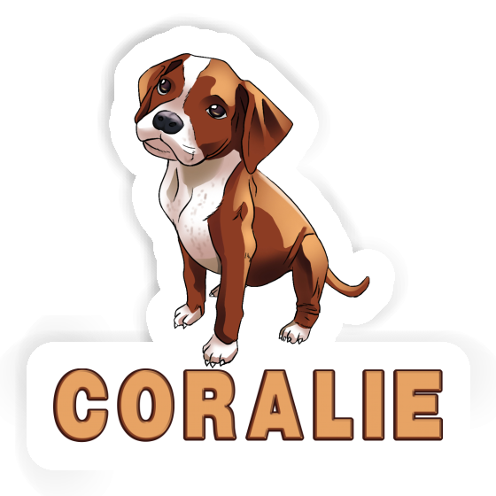 Sticker Boxer Dog Coralie Gift package Image