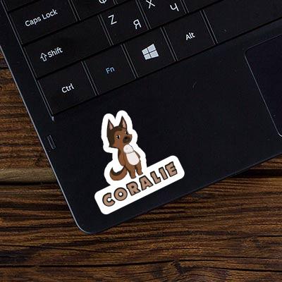 Sticker German Sheperd Coralie Gift package Image