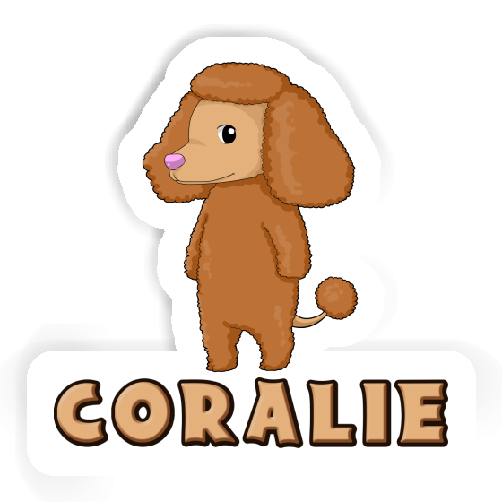 Sticker Poodle Coralie Gift package Image