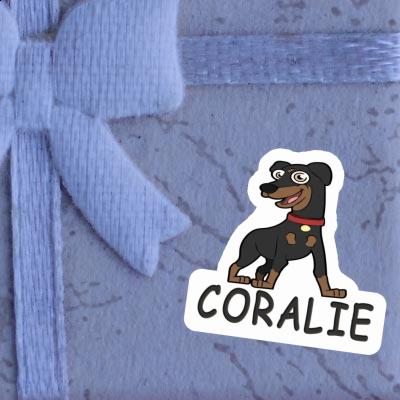 Pinscher Sticker Coralie Notebook Image